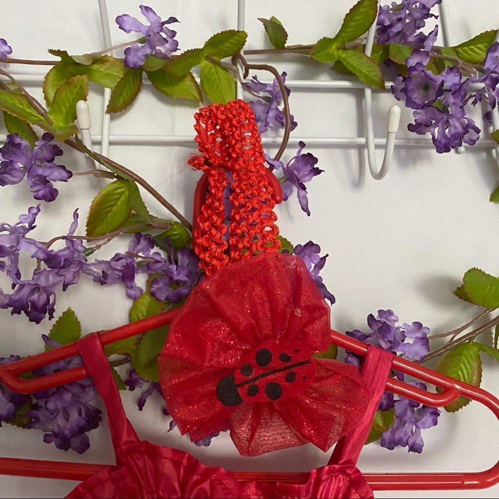 Rubies Lady bug tutu - Picture 6 of 8